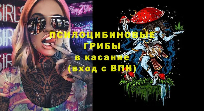 гидра зеркало  Карачев  Галлюциногенные грибы Psilocybe 